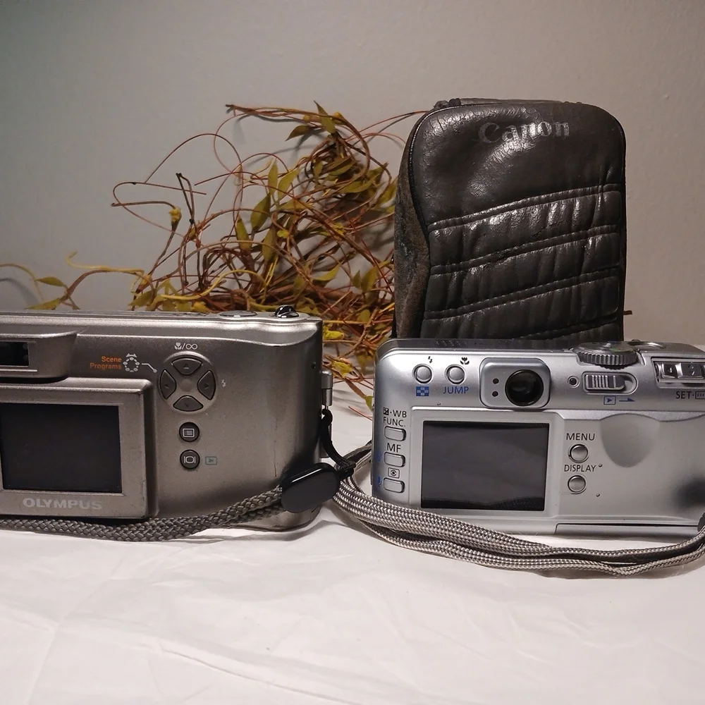 Olympus Silver Camedia D-550 Compact Digital Camera And Canon With Beat Up Case